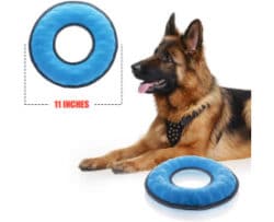 floatable dog toys
