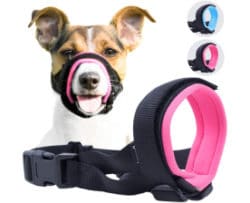 M, Black IREENUO Dog Muzzle Prevent for Biting Barking and Chewing with Adjustable Loop Breathable Mesh