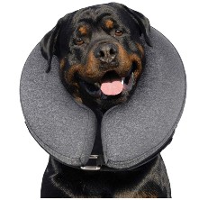 Soft Protective Collar for Small Medium Large Dogs BANBANGO Dog Cone Collar for After Surgery Pet Recovery Cone for Dogs and Cats 