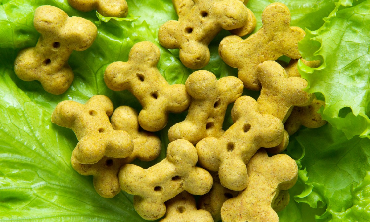 Some Nutritious Food Options for dogs