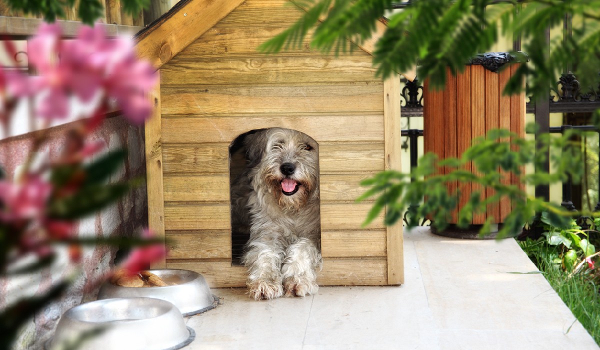 How To Keep Your Pooch Warm using a dog house heater