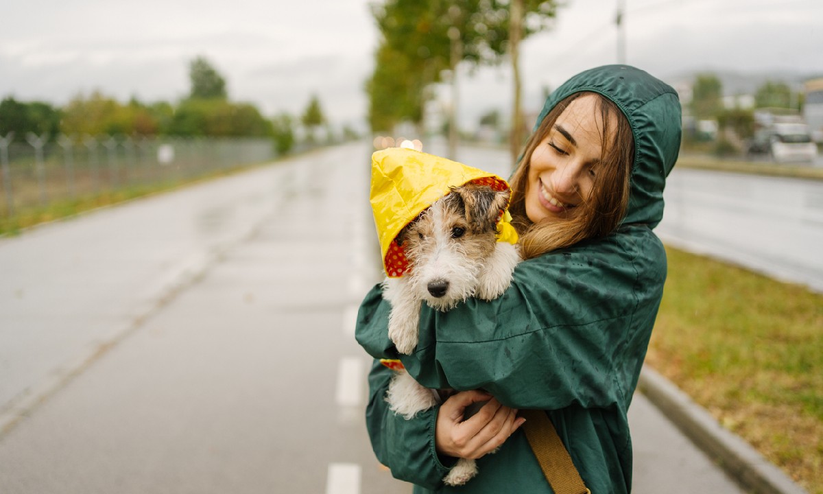 what do you do with your dog when its raining outside